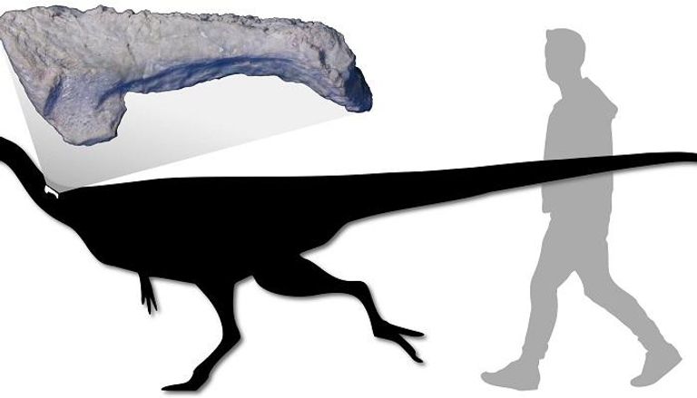 رسم تخيلي للديناصور نواسوري