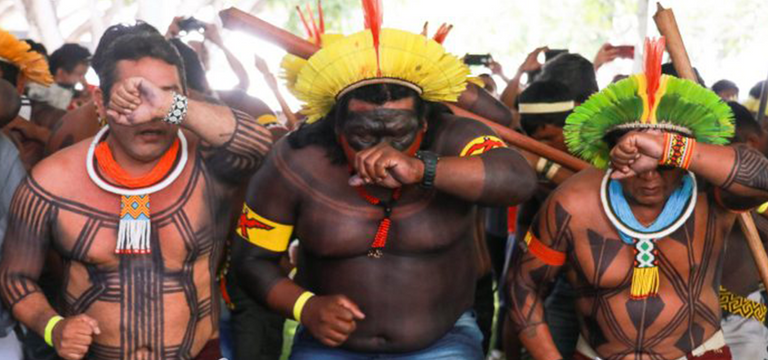 السكان الأصليون في البرازيل