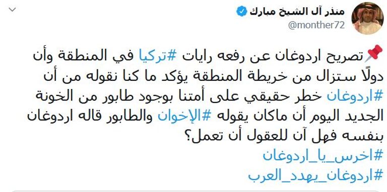 لحظة سقوط أردوغان من على ظهر الحصان لا تزال عالقة في ذهنه- أرشيفية