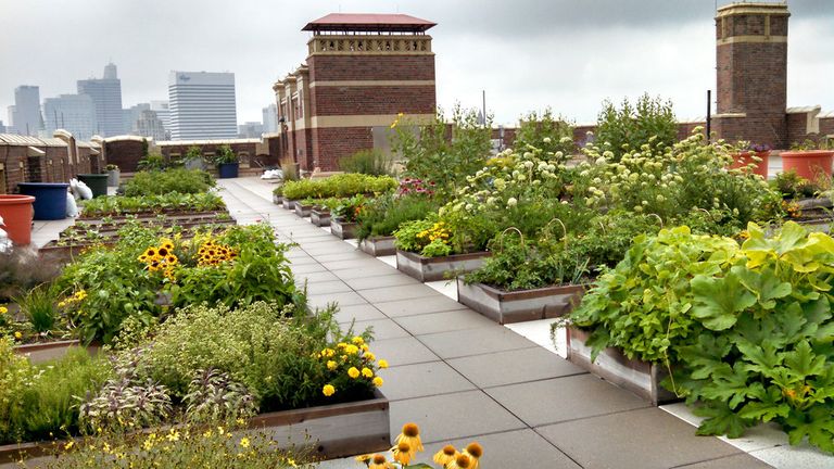 بساتين على أسطح ناطحات السحاب