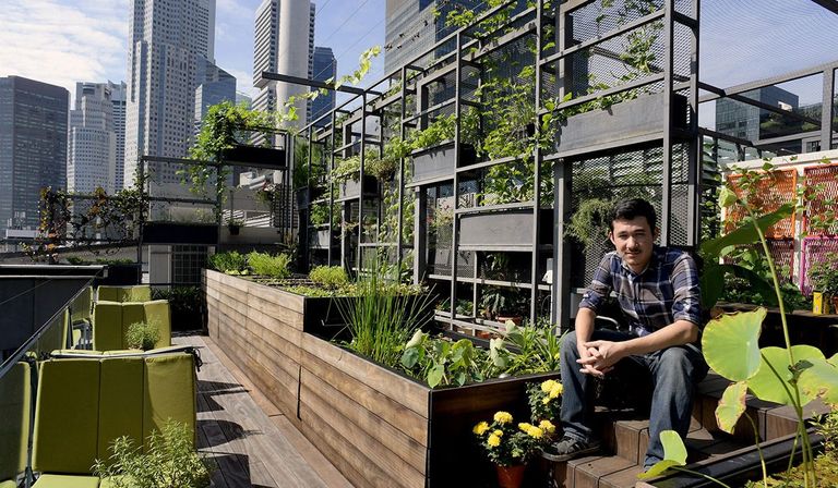 بساتين على أسطح ناطحات السحاب