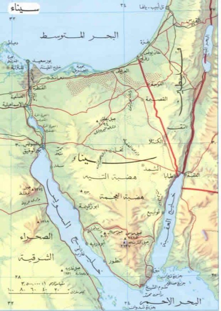 المقاتل محمد طه - صاحب أشهر علامة نصر