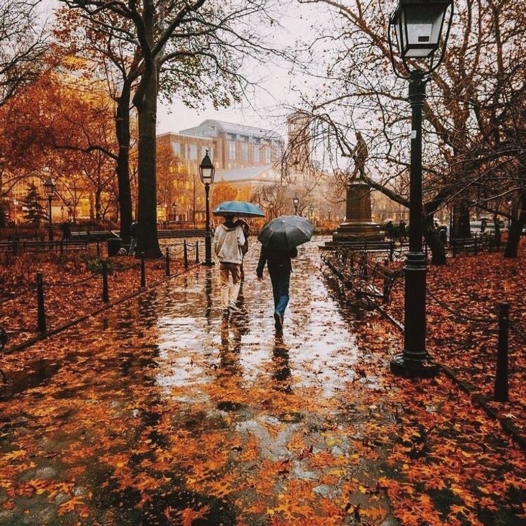 رائحة هواء فصل الخريف المميزة