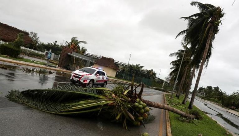 الإعصار أدى إلى سقوط عشرات الأشجار