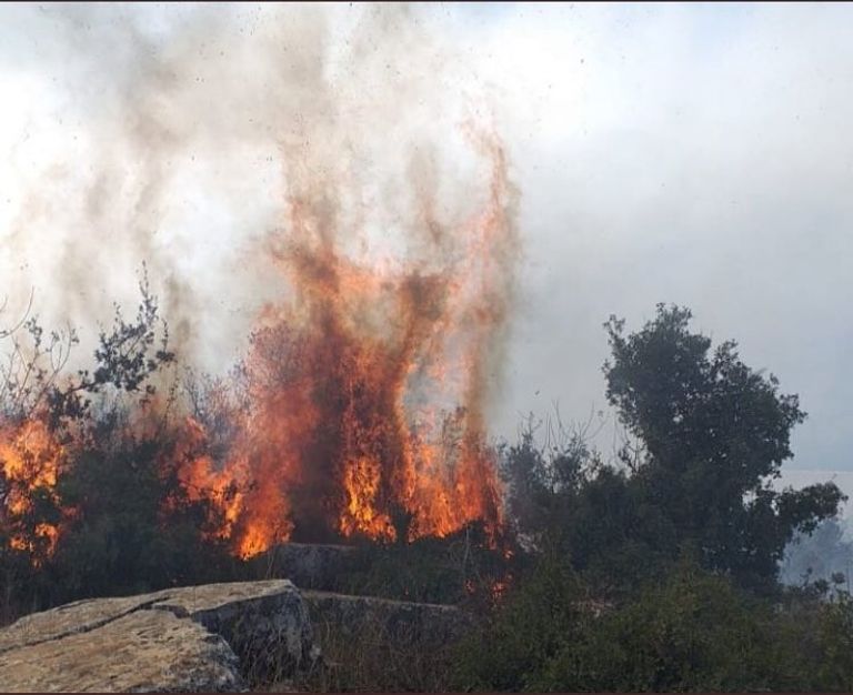 الحرائق تلتهم مساحات شاسعة من أحراج لبنان وتصل إلى محيط المنازل 