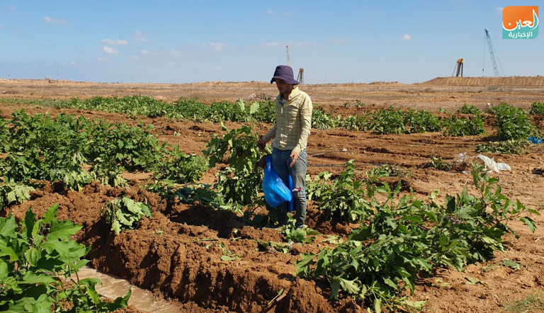 أراضٍ زراعية بغزة تتعرض للتجريف من قبل جرافات إسرائيلية