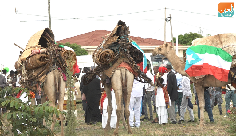 شعب الصومال الإثيوبي يشتهر بتربية الإبل