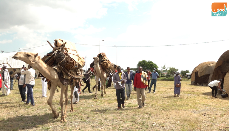 شعب الصومال الإثيوبي يشتهر بتربية الإبل