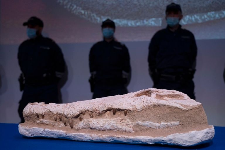 جانب من القطع الأثرية التي ضبطتها الجمارك الفرنسية وستعيدها إلى المغرب