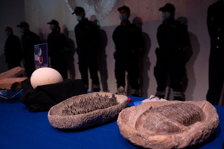 جانب من القطع الأثرية التي ضبطتها الجمارك الفرنسية وستعيدها إلى المغرب