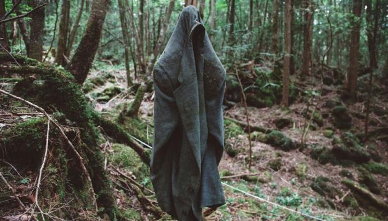أوكيجاهارا.. غابة الانتحار اليابانية الأكثر رعبا في العالم