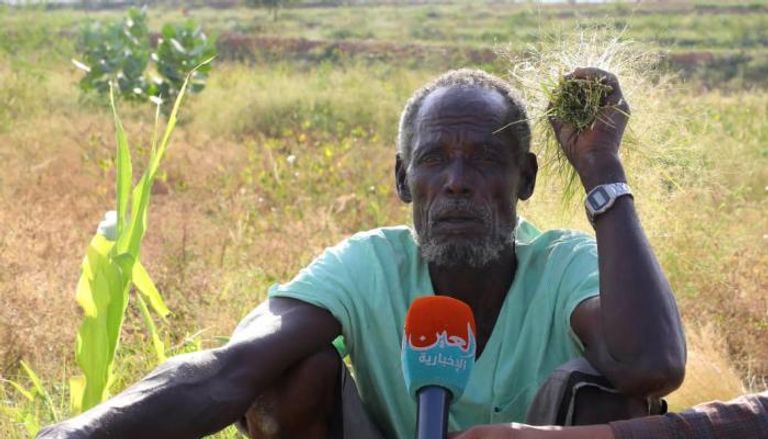مزارع إثيوبي يحكي عن الأضرار التي سببها الجراد
