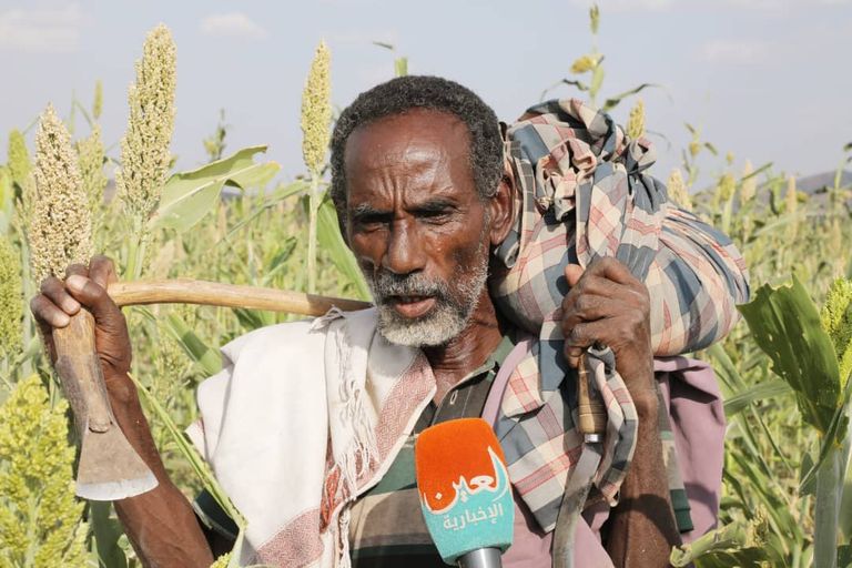 مزارع إثيوبي يحكي عن الأضرار التي سببها الجراد