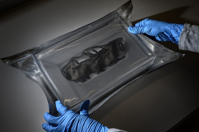 خبيرة في حفظ القطع الأثرية تتفحص سلة من الصوف اكتشفت في جبال الألب