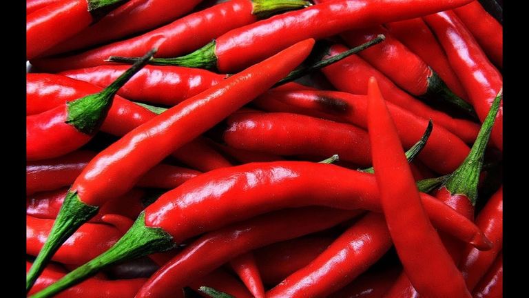 الفلفل الحار لعلاج آلام الظهر - تعبيرية  حوالي 80 % من آلام الظهر هي آلام عضلية ناتجة عن الشد وعدم التوازن