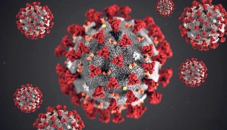 علماء يعثرون على نقطة ضعف لفيروس 
