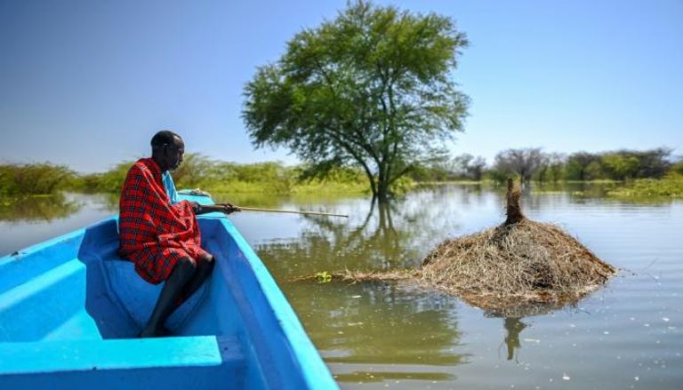 ريتشارد ليتشان لوكوتيرير يراقب مزرعته بعد أن غمرتها مياه بحيرة بارينجو في كينيا 