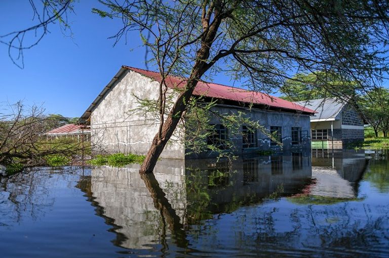 ريتشارد ليتشان لوكوتيرير يراقب مزرعته بعد أن غمرتها مياه بحيرة بارينجو في كينيا