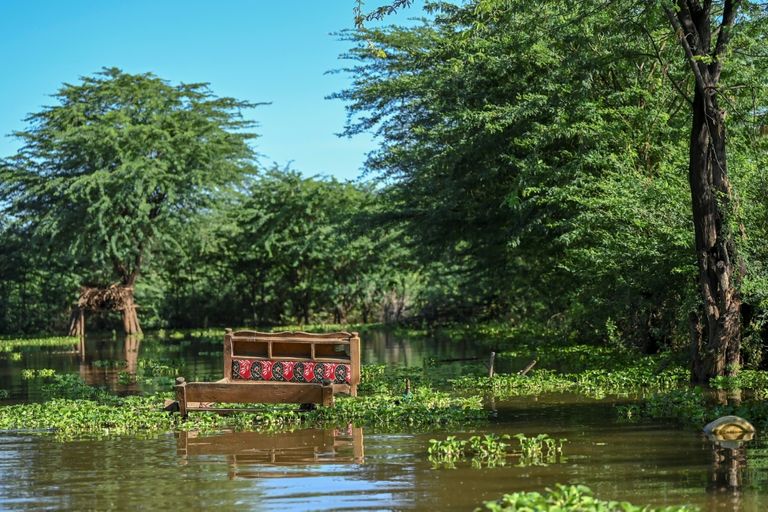 ريتشارد ليتشان لوكوتيرير يراقب مزرعته بعد أن غمرتها مياه بحيرة بارينجو في كينيا