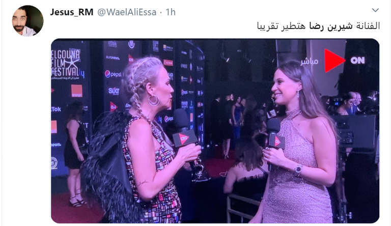 الفنانة المصرية شيرين رضا