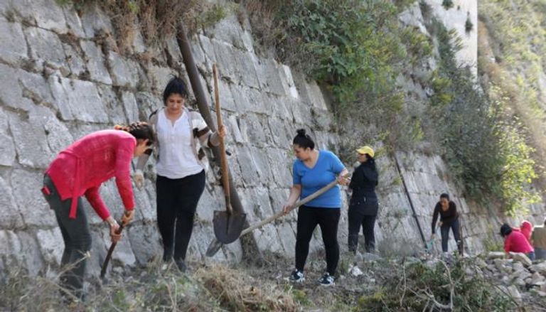أكثر من 400 شخص يتطوعون لإزالة أعشاب نبتت بين حجارة جدران قلعة الحصن السورية