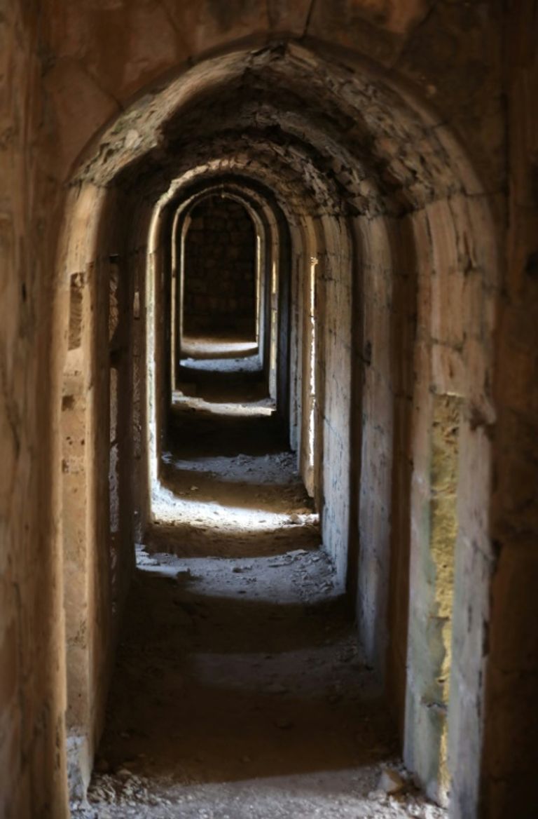 أكثر من 400 شخص يتطوعون لإزالة أعشاب نبتت بين حجارة جدران قلعة الحصن السورية