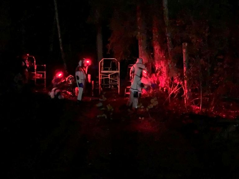 جانب من عملية إخلاء شجرة في واشنطن من "الدبابير القاتلة"