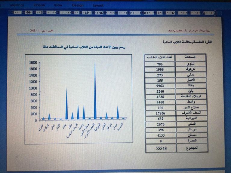 الكلاب الضالة تشكل خطرا في العراق