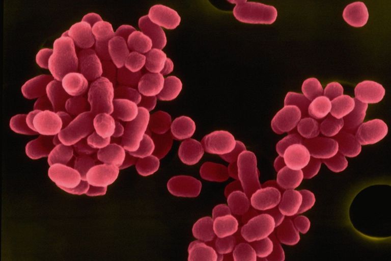 شكل حمى مالطا - تعبيرية أشخاص يرتدون بدلات واقية من الأمراض المعدية