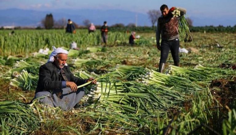حكومة أردوغان تقلص دعمها للقطاع الزراعي