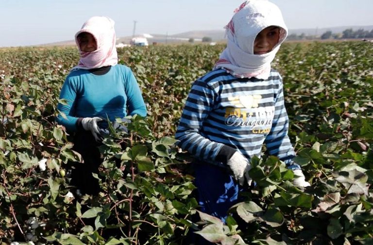 حكومة أردوغان تقلص دعمها للقطاع الزراعي