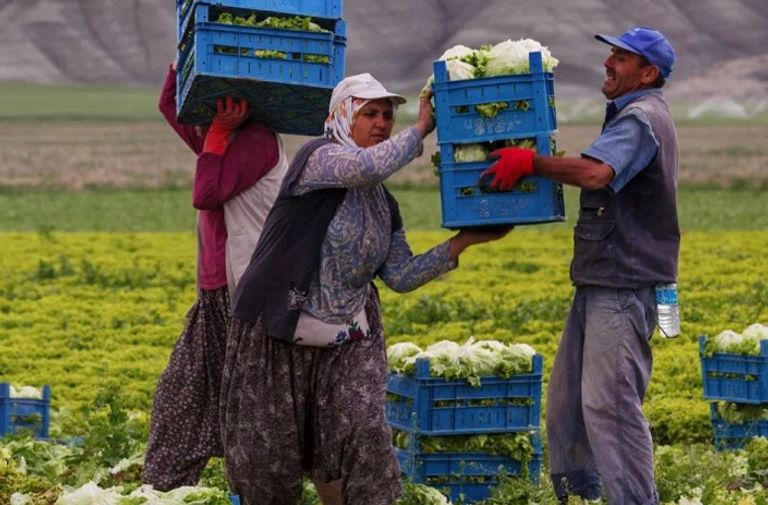 حكومة أردوغان تقلص دعمها للقطاع الزراعي