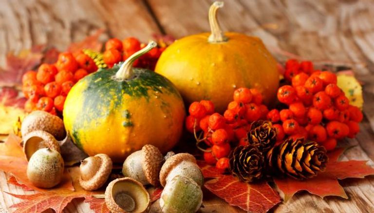 أطعمة لإنقاص الوزن في الخريف