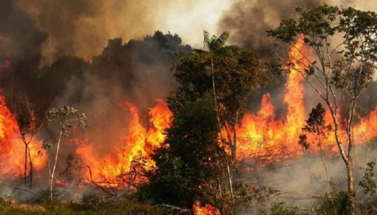 حرائق الغابات في تركيا