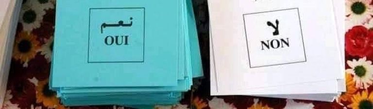 أوراق التصويت بـ"نعم" و"لا" في استفتاءات الجزائر - أرشيفية سيدة جزائرية أمام ملصقة انتخابية خاصة باستفتاء تعديل الدستور