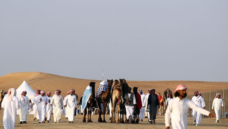 600 جائزة تحتفي بالتراث في مهرجان الظفرة الإماراتي