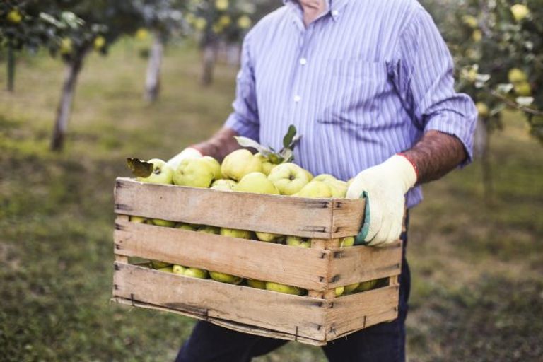 نصف كيلو من أعقاب السجائر مقابل 2 كيلو ونصف من الفاكهة