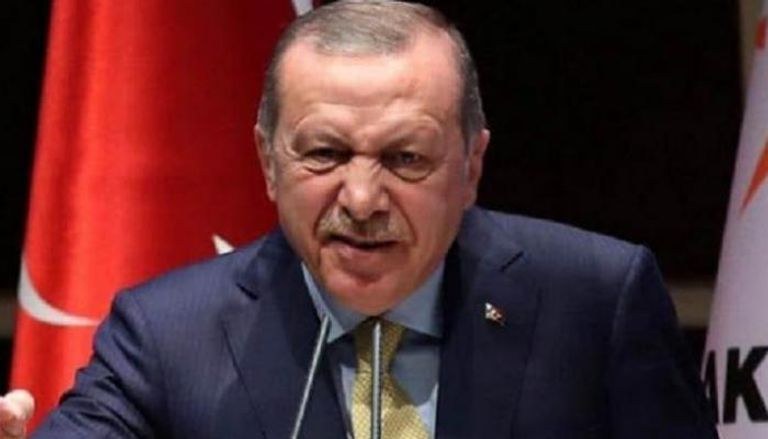 الرئيس التركي أردوغان - أرشيفية 