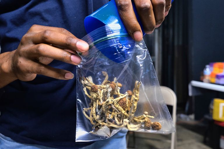 انتخابات الثلاثاء لا تقتصر على منافسة ترامب وبايدن