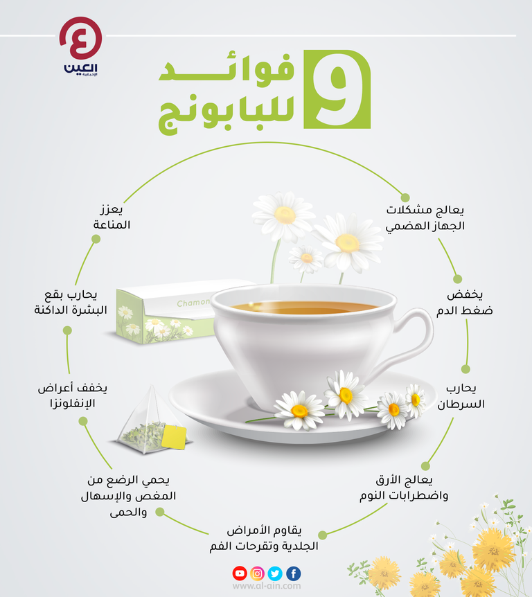 78-163818-9-benefits-of-chamomile-2.png