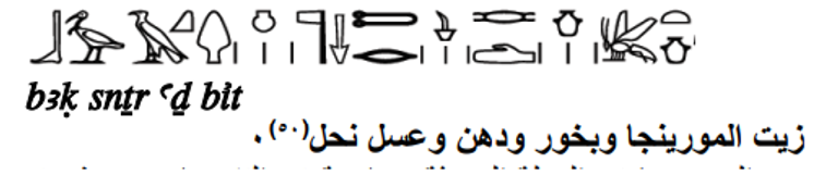 زيت المورينجا كما جاء في لوحة من الأسرة الرابعة للملك كاموس الزيوت المستخلصة من بذور المورينجا لها استخدامات طبية وثقتها برديات الفراعنة