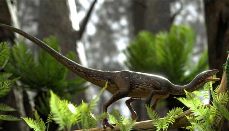 ديناصور Buriolestes