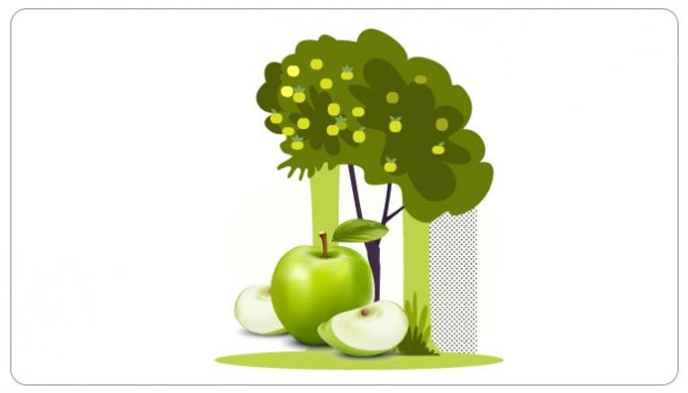 التفاح الأخضر كنز من الفوائد الصحية