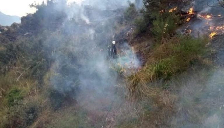 استمرار جهود الدفاع المدني لإطفاء حرائق الغابات الضخمة بالجزائر