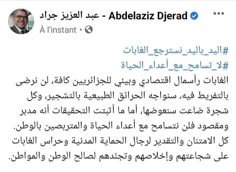 تغريدة رئيس الوزراء الجزائري استمرار جهود الدفاع المدني لإطفاء حرائق الغابات الضخمة بالجزائر