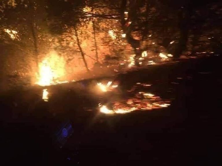 حرائق صخمة تجتاح غابات الجزائر استمرار جهود الدفاع المدني لإطفاء حرائق الغابات الضخمة بالجزائر