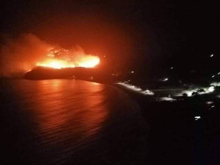 حرائق تجتاح غابات أكثر من 10 محافظات جزائرية