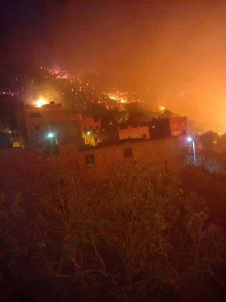 حرائق تجتاح غابات أكثر من 10 محافظات جزائرية