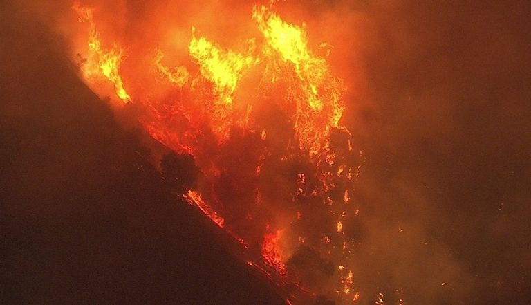 النيران تلتهم الأشجار في غابات الجزائر