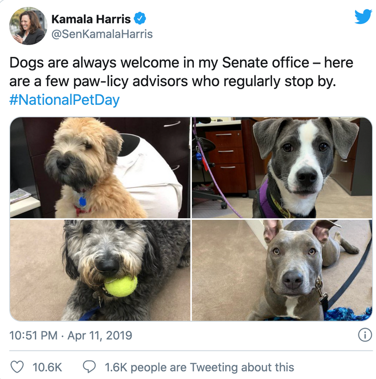 زوجة بايدن برفقة تشامب وميجر